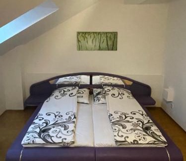 Eggenberg Apartamento | MBudget I Free Private Parking I Easy Self Checkin