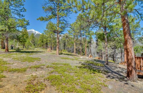 Buena Vista Casa | McCall Creekside Cabin Secluded Buena Vista Gem!