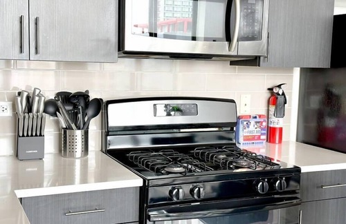 Near South Side Apartamento | McCormick Place Skyline view Secret Oasis sleeps 8