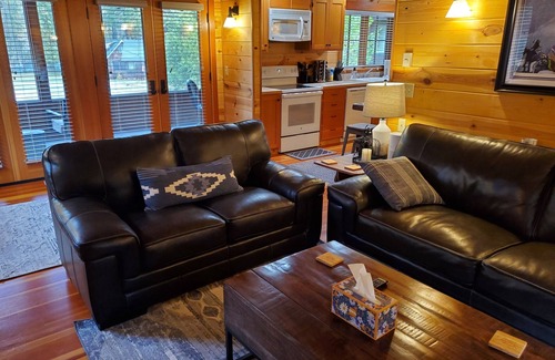 McKenzie Bridge Cabina | Mckenzie River Cabin 20 - Log Cabin Inn - Willamette National Forest
