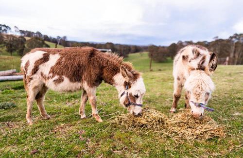 Jenolan Casa | Mckeown's Rest at Kenzell Farm