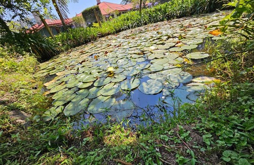 Nuwara Eliya Casa | Meena Ella Bungalow – Your Heritage Retreat in Sri Lanka’s Hill Country