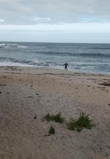 Lambert's Bay Apartamento | Meeulekker op Lambertsbay