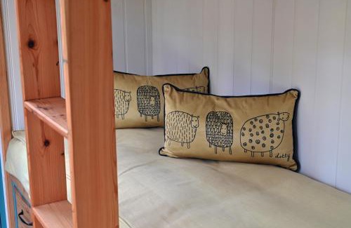 Carmarthen Cabina | Meidrim Meadows luxury shepherd's hut