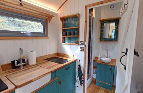 Carmarthen Cabina | Meidrim Meadows luxury shepherd's hut
