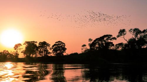 Stung Treng Complejo | Mekong Bird Resort & Hotel