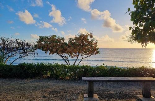 Atlantic Shores Apartamento | Mel's Art Place by Coastal View7