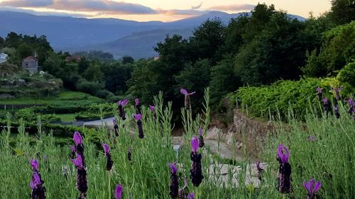 Melgaco Casa | Melgaço Alvarinho Houses