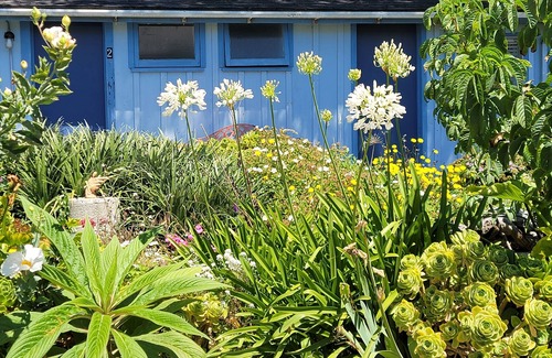 Mendocino Apartamento | Mendocino Garden Studio #2, Full kitchen