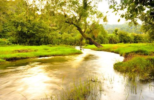 Somvarpet Complejo | Meriyanda Nature Lodge - Coorg