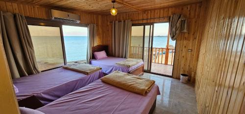 Nuweiba Hotel | Mermaid camp