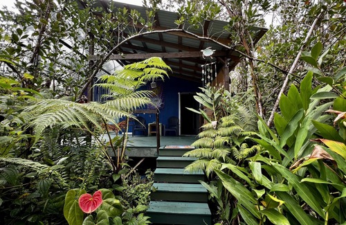 Fern Forest Cabina | Mermaid Lair Near Worlds Most Active Volcano!