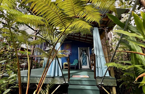 Fern Forest Cabina | Mermaid Lair Near Worlds Most Active Volcano!