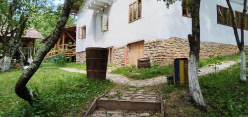 Jibert Otro | Mesteceni Glamping