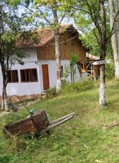 Jibert Otro | Mesteceni Glamping