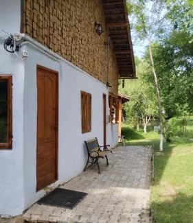 Jibert Otro | Mesteceni Glamping
