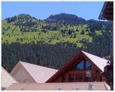 Isaba Apartamento | Metsola Apartamentos Rurales