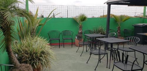 Narvarte Poniente Casa | Mexico City Guesthouse