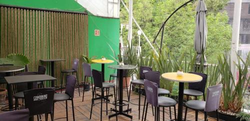 Narvarte Poniente Casa | Mexico City Guesthouse