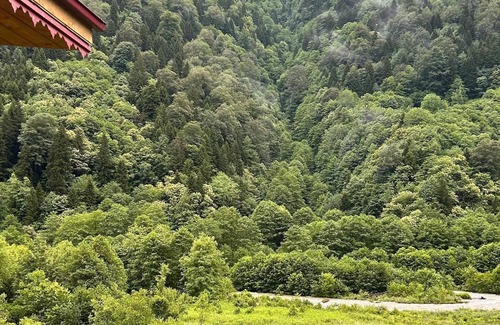 Camlihemsin Apartamento | Meydan Şelale Dağ Evi