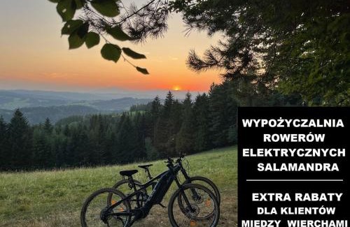 Rabka Villa | Między Wierchami