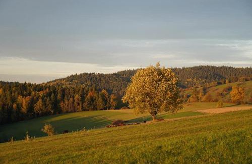 Rabka Villa | Między Wierchami