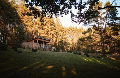 Alytus county Casa | Miško kraštas