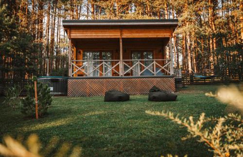 Alytus county Casa | Miško kraštas