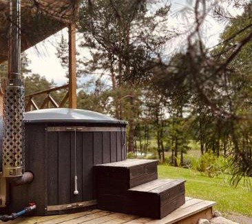 Alytus county Casa | Miško kraštas