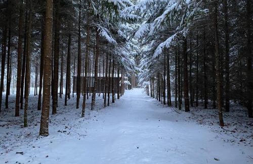 Kurtuvenai Casa | Miško sielos namelis su pirtele