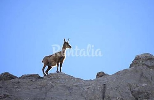 Villanueva del Pontedo Casa | MI CASA casa de piedra en la montaña de Leon