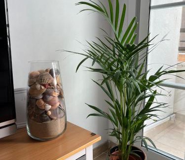 Conil de la Frontera City Center Apartamento | Mi sueño de Conil