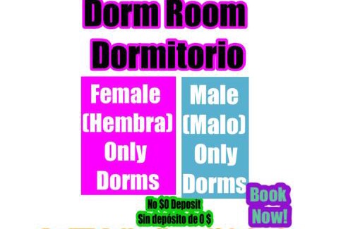Allapattah Hostal | Miami International Hostel - No Mix - Dorms Airport Downtown Wynwood