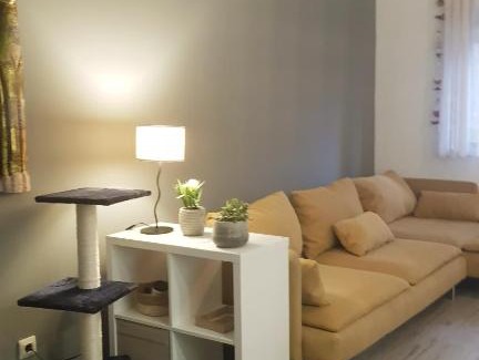 Praia de Mira Apartamento | Miau Beach Apartment - Pet Friendly