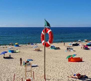 Praia de Mira Apartamento | Miau Beach Apartment - Pet Friendly