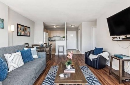 South Loop Condominio | MICH AVE #5|Safe DTown Grant Park, Museums 2bd/2ba