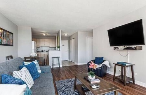 South Loop Condominio | MICH AVE #5|Safe DTown Grant Park, Museums 2bd/2ba