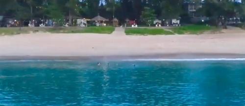 Mai Khao Casa | Micky Monkey Beach Hotel Phuket Maikhao Thailand