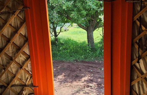 Hergarten Cama Y Desayuno | Micro adventure yurt