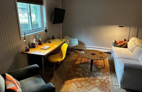Staatsburg Apartamento | Mid-Century DJs Dream near Rhinebeck