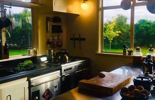 Blenheim Casa | Midcentury Magic in Marlborough