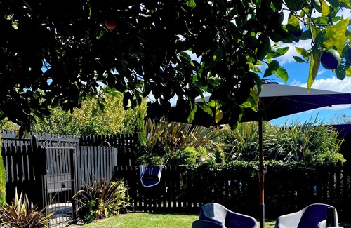 Blenheim Casa | Midcentury Magic in Marlborough