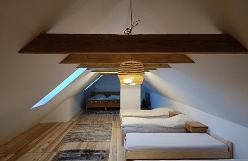 Olsztynek Apartamento | Mierki66