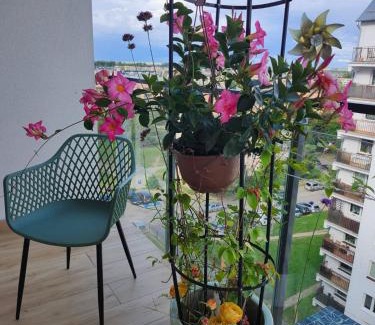 Ciechanow Apartamento | Mieszkanie Central Park