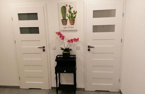 Konin Apartamento | Mieszkanie Konin Zatorze