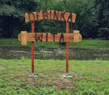 Trzebiel Apartamento | Mieszkanie na wsi