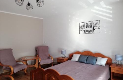 Piwniczna-Zdroj Apartamento | Mieszkanie Nad Popradem INPIW03