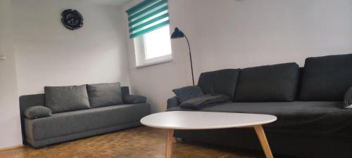 Gniezno Apartamento | Mieszkanie Turkus w Gnieźnie