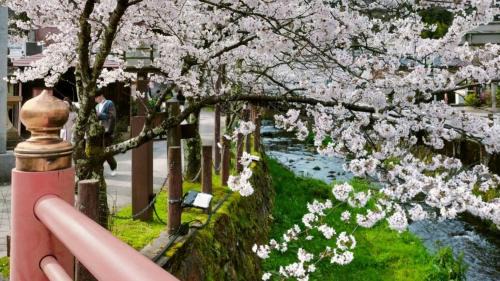 Kinosaki Onsen Hotel | Migumiya Ryokan