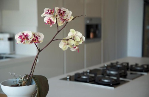 Mijas Chalet De Esquí | Mijas Villa La Filomena